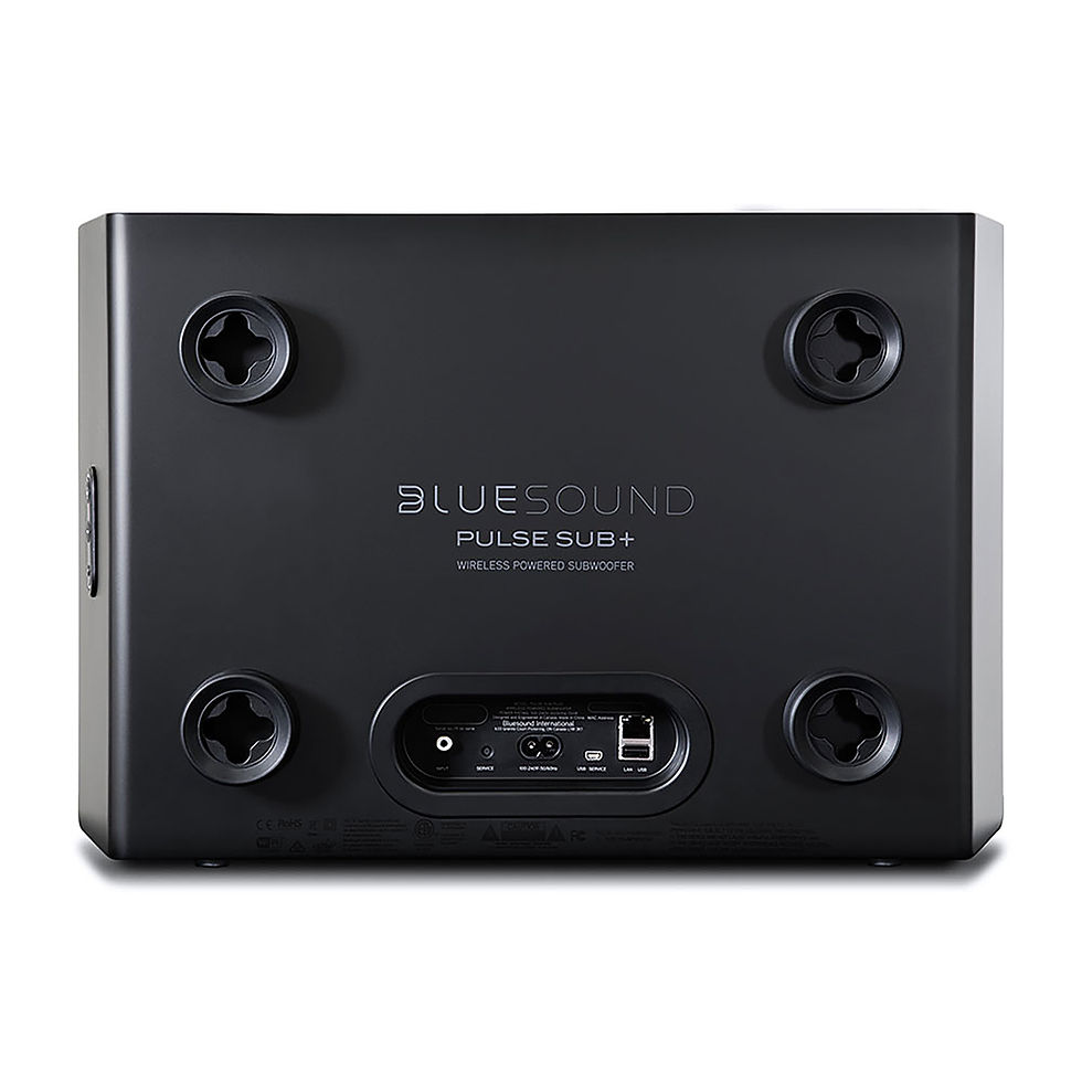 Thumbnail: Back view of the Bluesound PULSE SUB+ wireless powered subwoofer showing connectivity options.