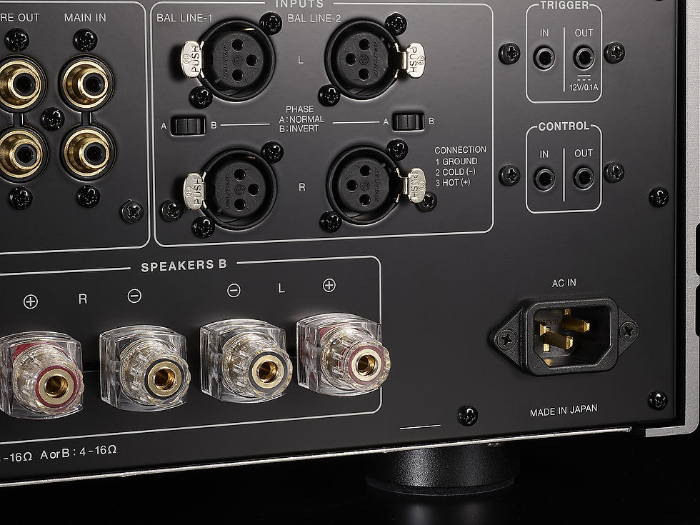Thumbnail: Rear view of LUXMAN L-507Z's speaker connectors and audio input ports.