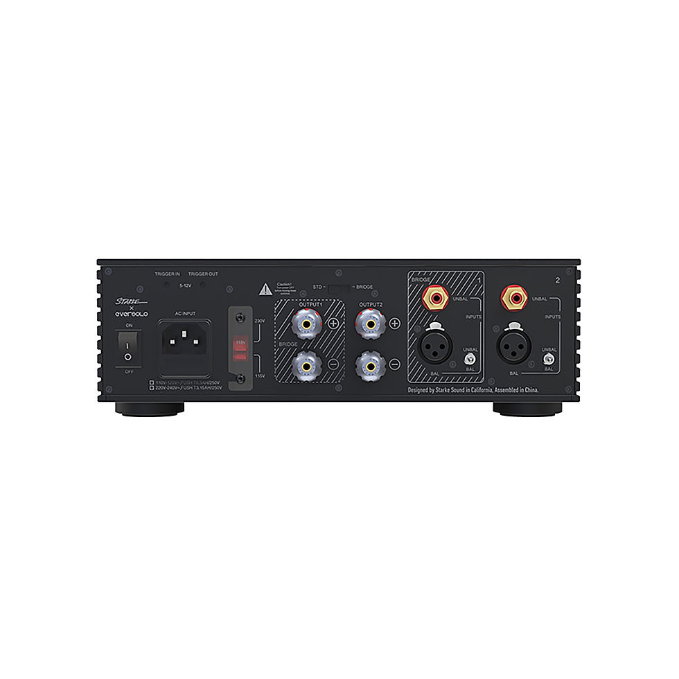Thumbnail: Back panel of Eversolo AMP-F2, displaying its variety of audio inputs and outputs for connectivity.