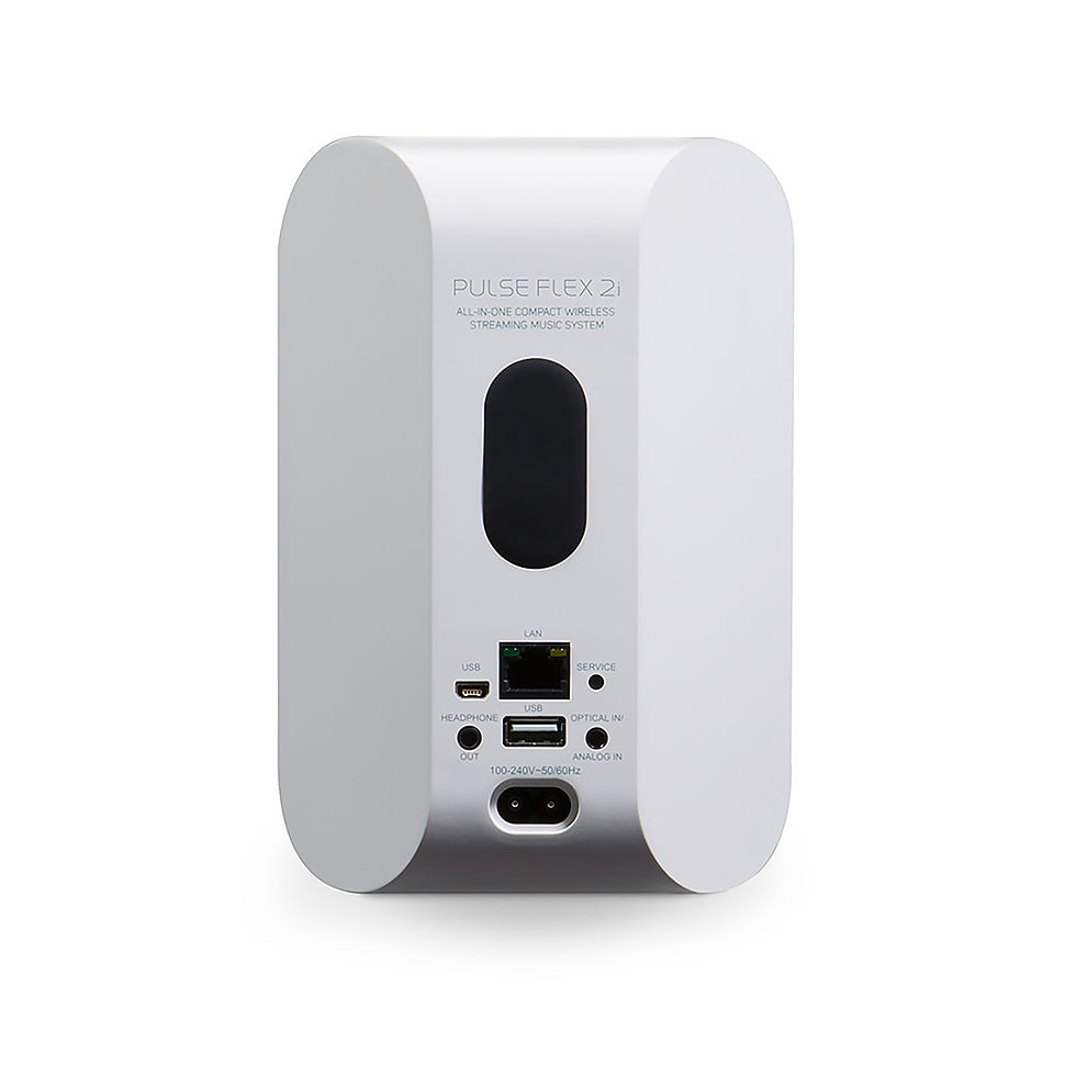 Thumbnail: Bluesound PULSE FLEX 2i Portable Streaming Speaker