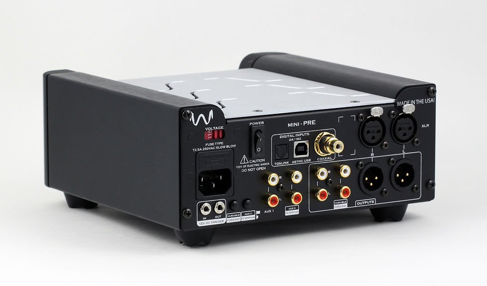 Thumbnail: Back view of Wyred4Sound mPRE showing digital and analog connectivity options.