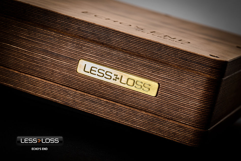 Thumbnail: LessLoss Echo's End DAC
