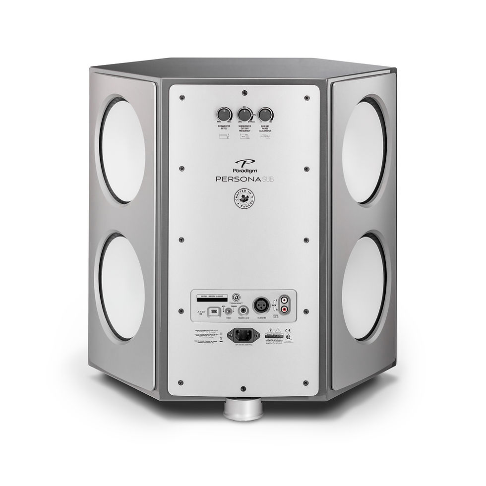 Thumbnail: Paradigm PERSONA SUB Subwoofer