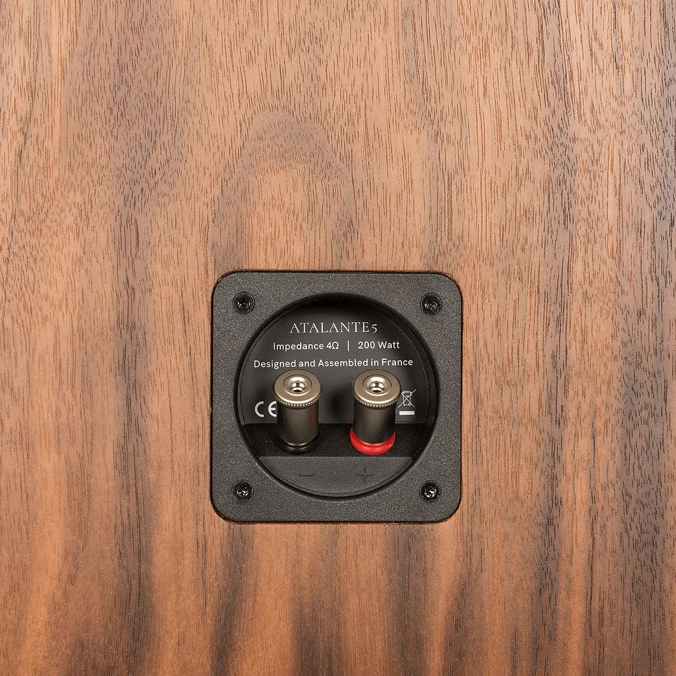 Thumbnail: Revival Audio ATALANTE 5 Loudspeakers