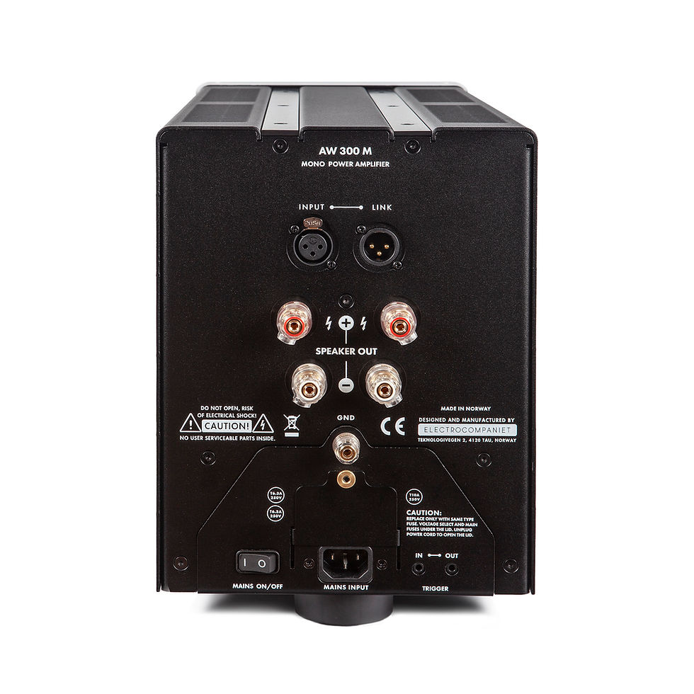 Thumbnail: Back panel connectors of Electrocompaniet AW300M Power Amplifier showing input and output ports.