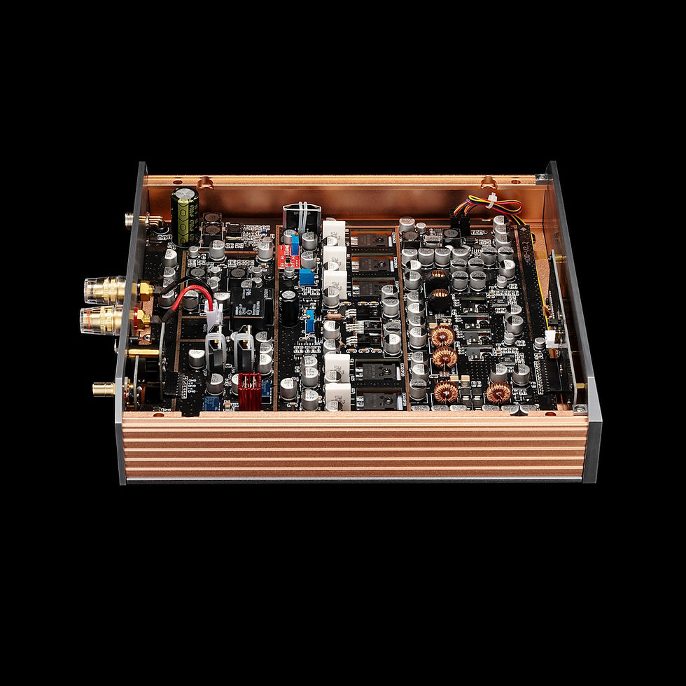 Thumbnail: Burson Timekeeper VOYAGER MAX 200W Monoblock Power Amplifier