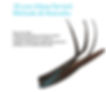 3D lash.jpg