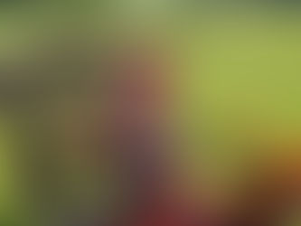 Construction At The Vineyard