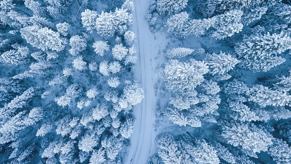 Full Auto Detail in Winter