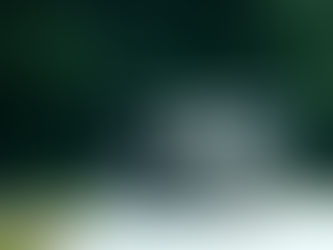 Looking Back, Looking Forwards