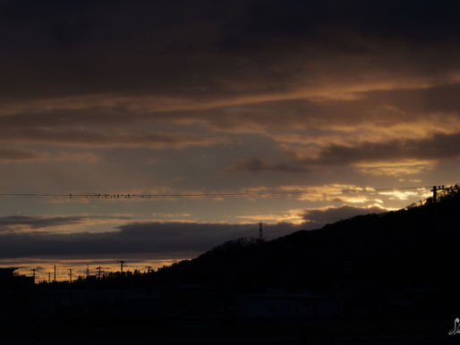 明けましておめでとうございます