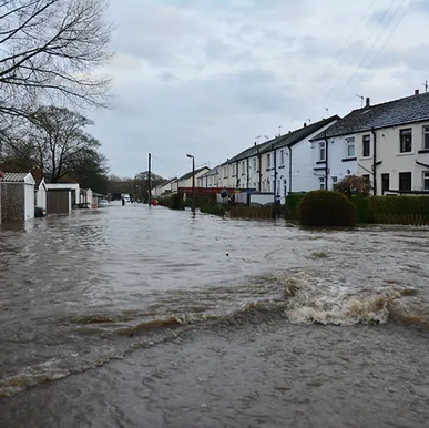 의외로 Home Owner’s Insurance로 보상받지 못하는 5가지
