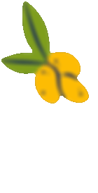 MotherOfWundher_Website_LemonStand.gif