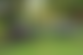 【北海道ＹＥＧ】令和７年度 第１回道央・道南協議会