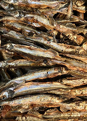 Air_dried Capelin.jpg