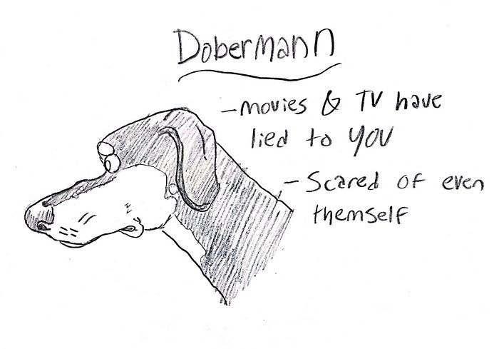 Thumbnail: The Doberman