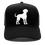 Thumbnail: The Weimaraner