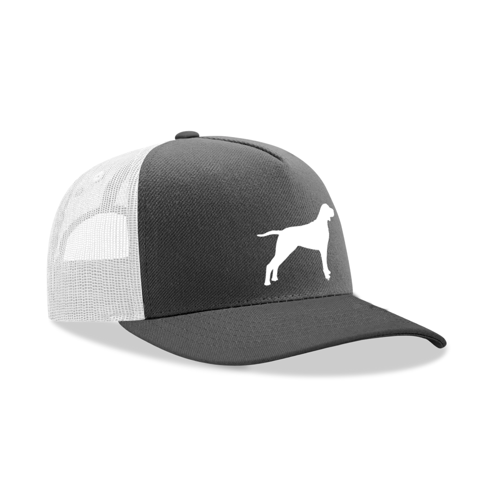 Thumbnail: The Vizsla