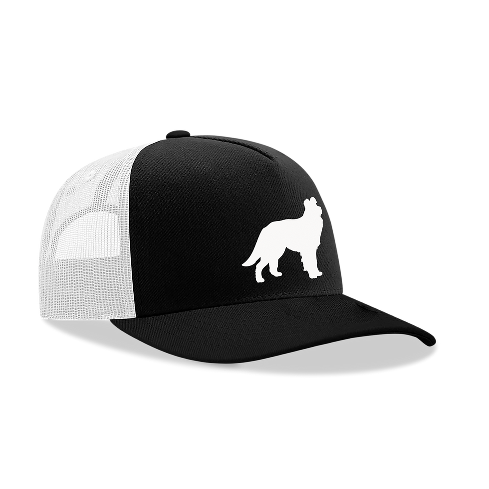 Thumbnail: The Border Collie