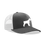Thumbnail: The Schnauzer