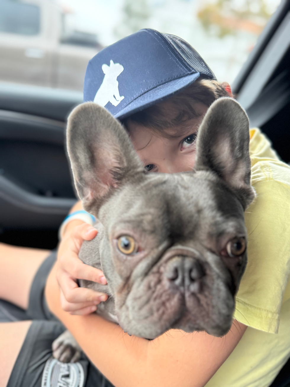 Thumbnail: The Frenchie