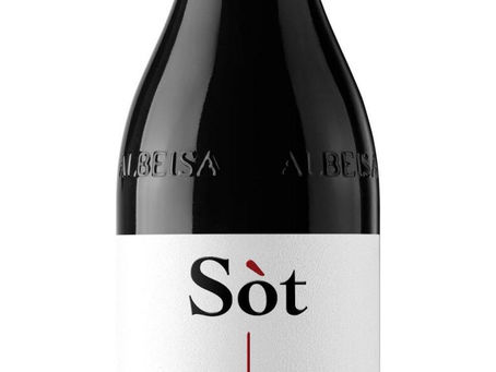 Barbera den perfekte vin til lette retter 