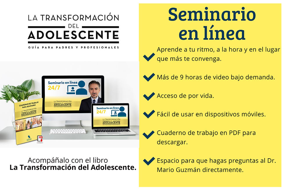 Seminario 3