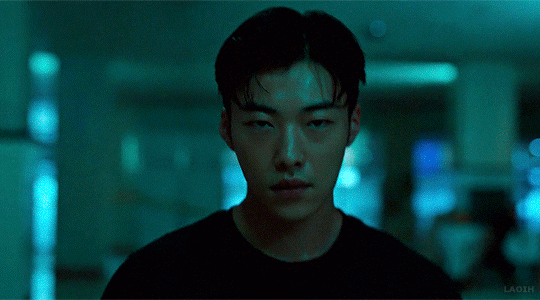 6.gif