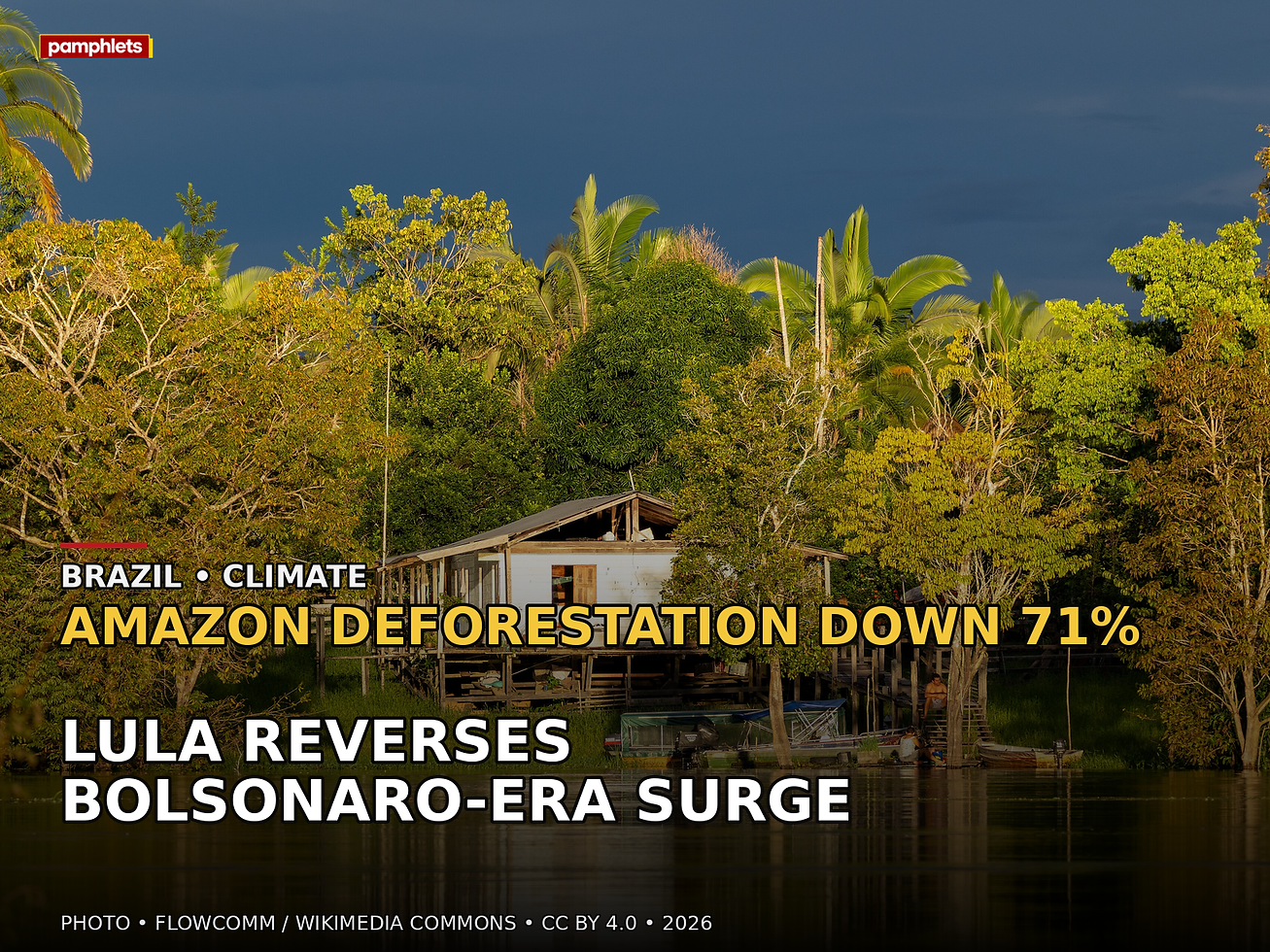 Pamphlets V9 news card: Amazon deforestation down 71% as Lula reverses the Bolsonaro-era surge