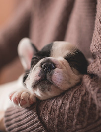 Photography by Freestocksorg on Pexels.jpg