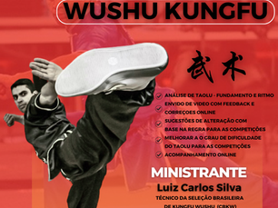 Consultoria ON-LINE de Kungfu Wushu