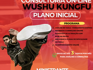 Consultoria On-line para Wushu Kungfu - Plano Inicial R$ 79,00