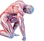 BarleyGreen plus Chronic fatigue