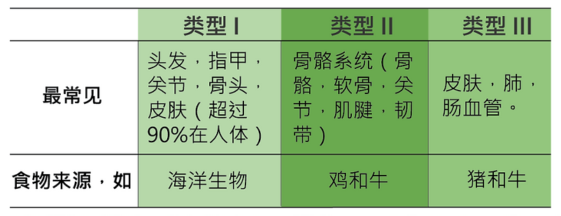 types of collagen(C).png