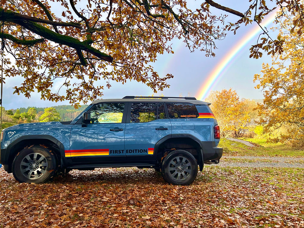 NYHETSBREV NOVEMBER 2025