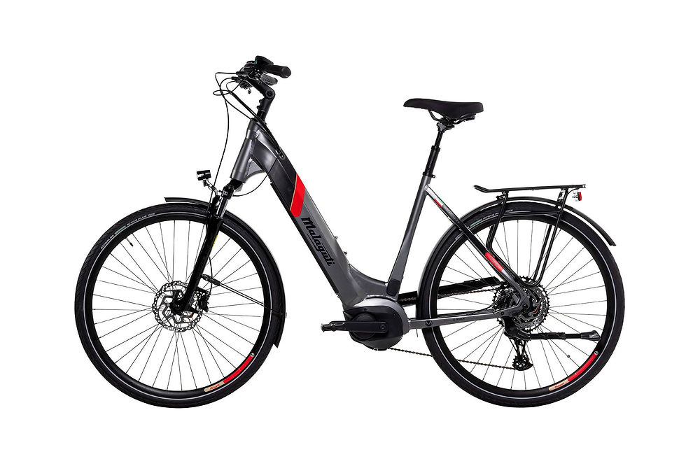 Miniaturbild: Malaguti PESCAROLA WV 5.1 (Taille L)