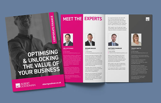 Albert Goodman Brochure Mock Up.jpg