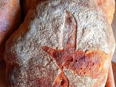 Printemps...c'est la nature qui fait la fête