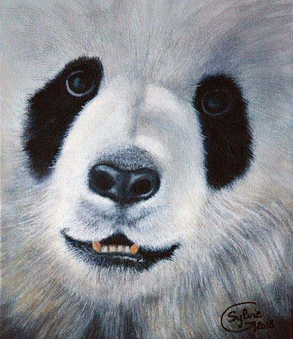 Miniature : Magnets moyens - Animaux