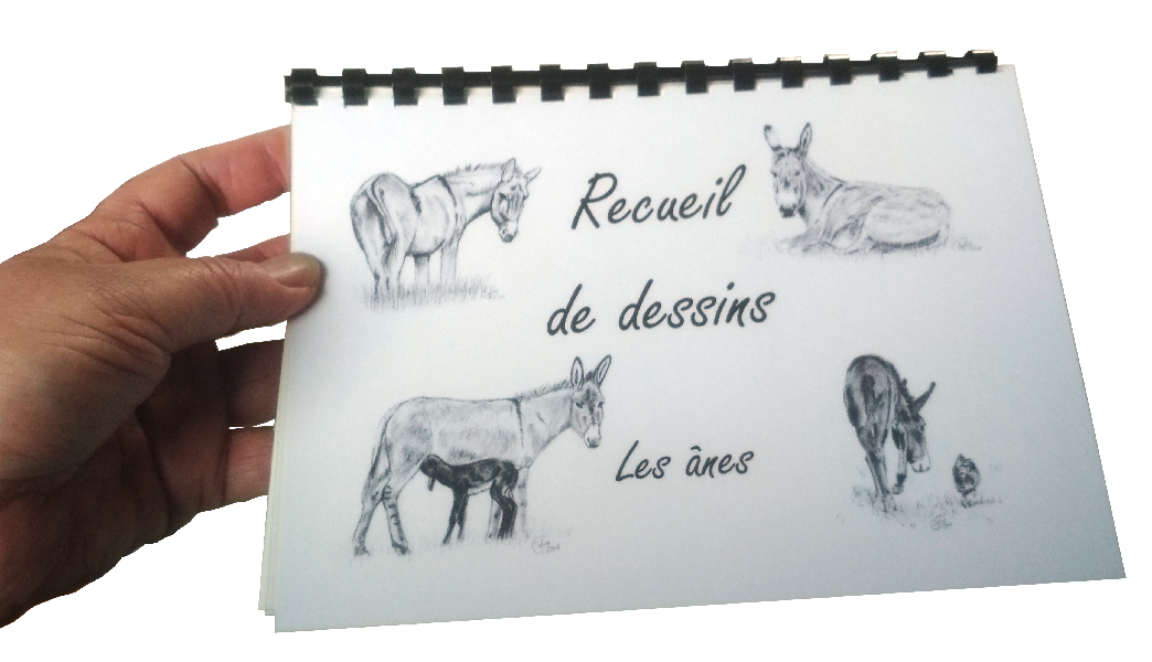 Recueil de dessins 'Les ânes'