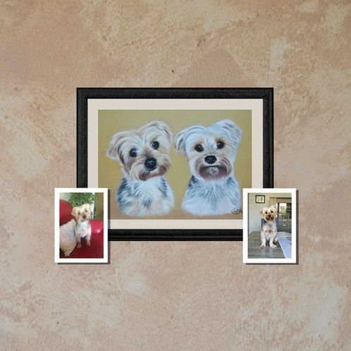 portraits aux pastels secs de deux Yorkshires, réalisés par l'artiste Sylvie G, avec photos de référence