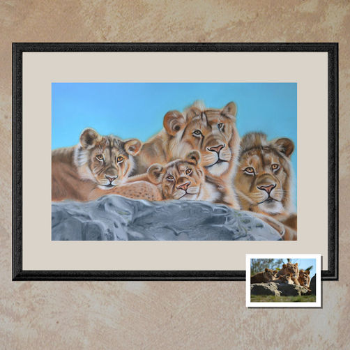 Peinture réalisée par l'artiste Sylvie G avec des pastels secs, représentant quatre jeunes lions et lionne, couchés sur des rochers, regardant le spectateur, d'après une photo prise au zoo de Beauval.