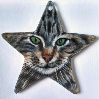 Décoration en plastique dingue, d'environ 5 cm, de forme étoile et représentant un chat tigré.