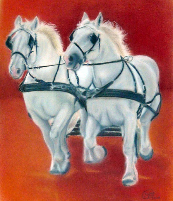 Miniature : Magnets moyens - Chevaux