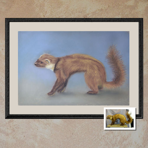 Peinture d'une martre réalisée par l'artiste Sylvie G avec des pastels secs