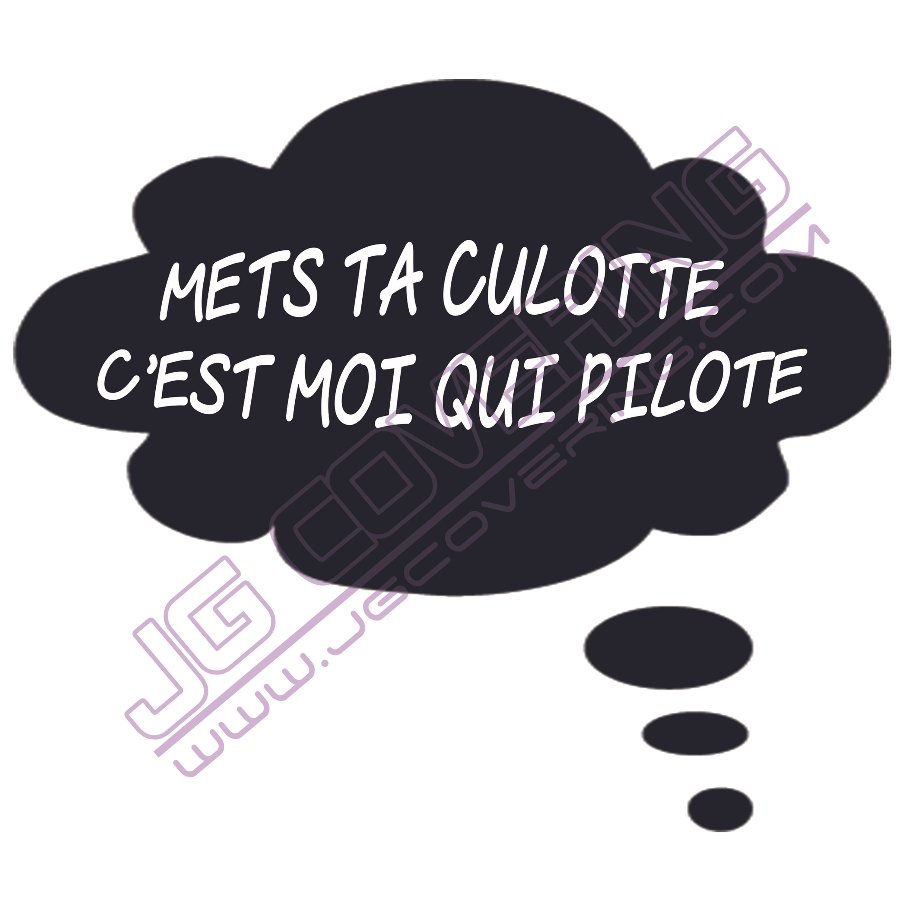 METS TA CULOTTE C'EST MOI QUI PILOTE