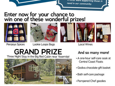 What's up in South SLO County Womenade