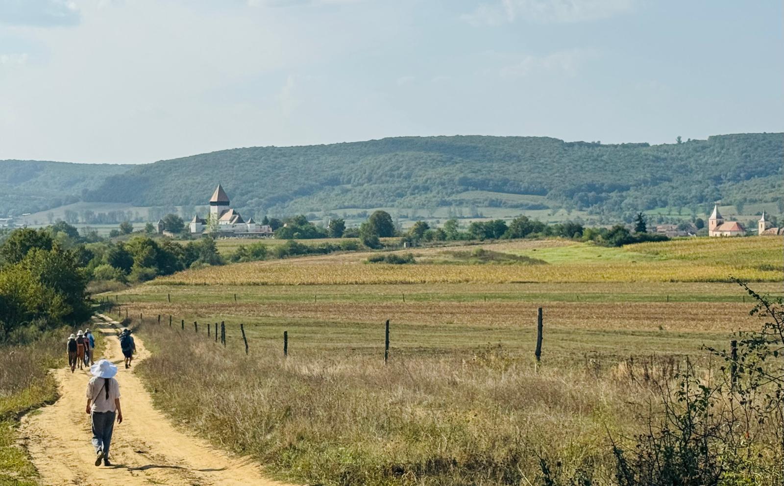 Walk from the shepherds