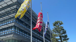 こどもの目の日