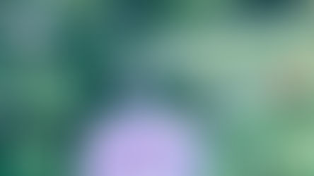目の充血・結膜炎について